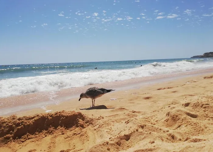 Apartamento Do Algarve
