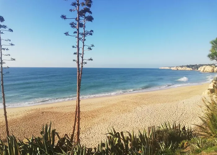 Apartamento Do Algarve