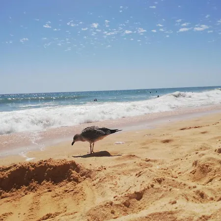 Apartamento Do Algarve